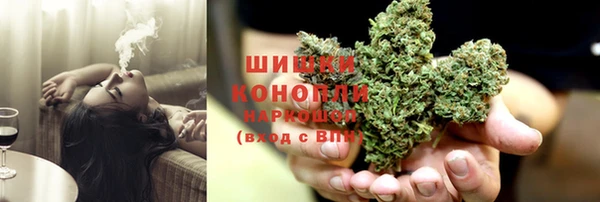 соль ск Гусиноозёрск