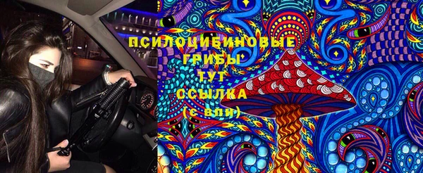 соль ск Гусиноозёрск