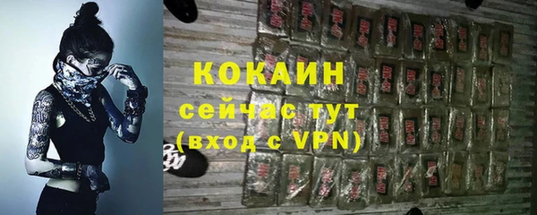 соль ск Гусиноозёрск