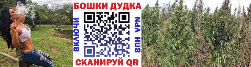 Купить где  Пустошка  Бошки марихуана THC 21% 